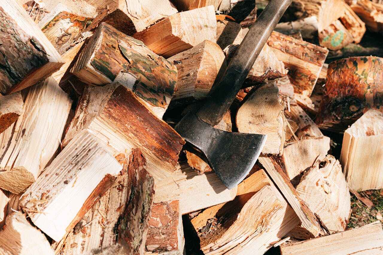 Best Commercial Tree Services  in Trenton, GA